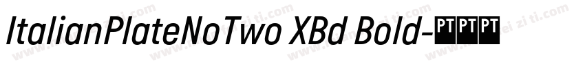 ItalianPlateNoTwo XBd Bold字体转换